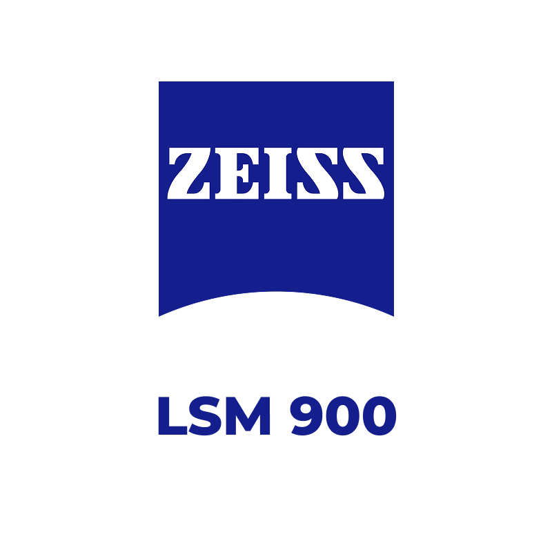 Конфокальна лазерна скануюча система для дослідження матеріалів LSM 900