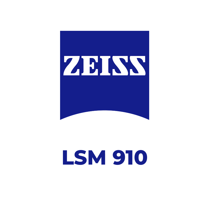Конфокальна лазерна скануюча система LSM 910