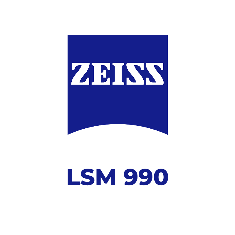 Конфокальна лазерна скануюча система LSM 990