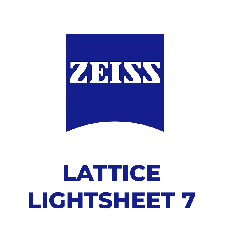 Система площинного освітлення Lattice Lightsheet 7