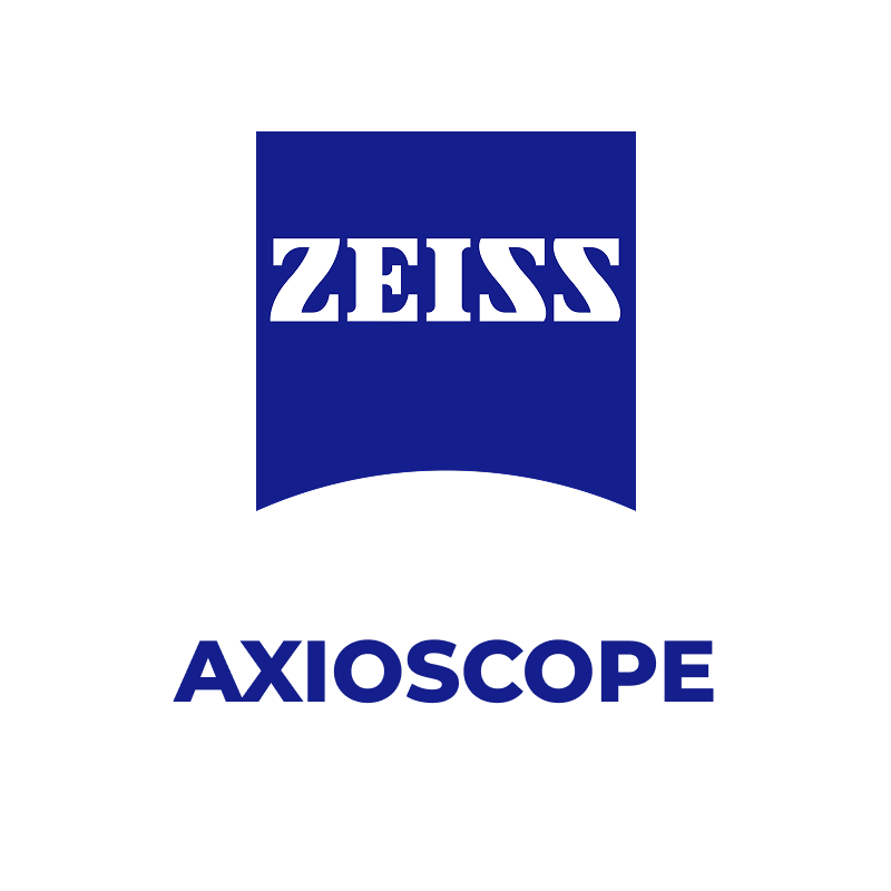 Прямий мікроскоп Axioscope