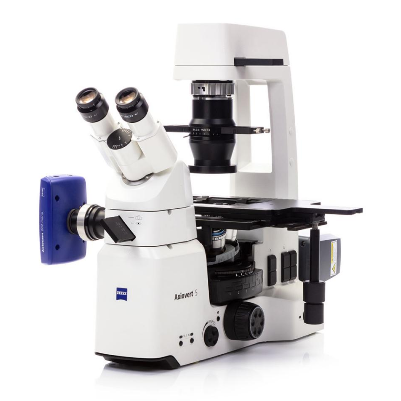 Inverted Microscope, Axiovert 7 - Zeiss (Germany)